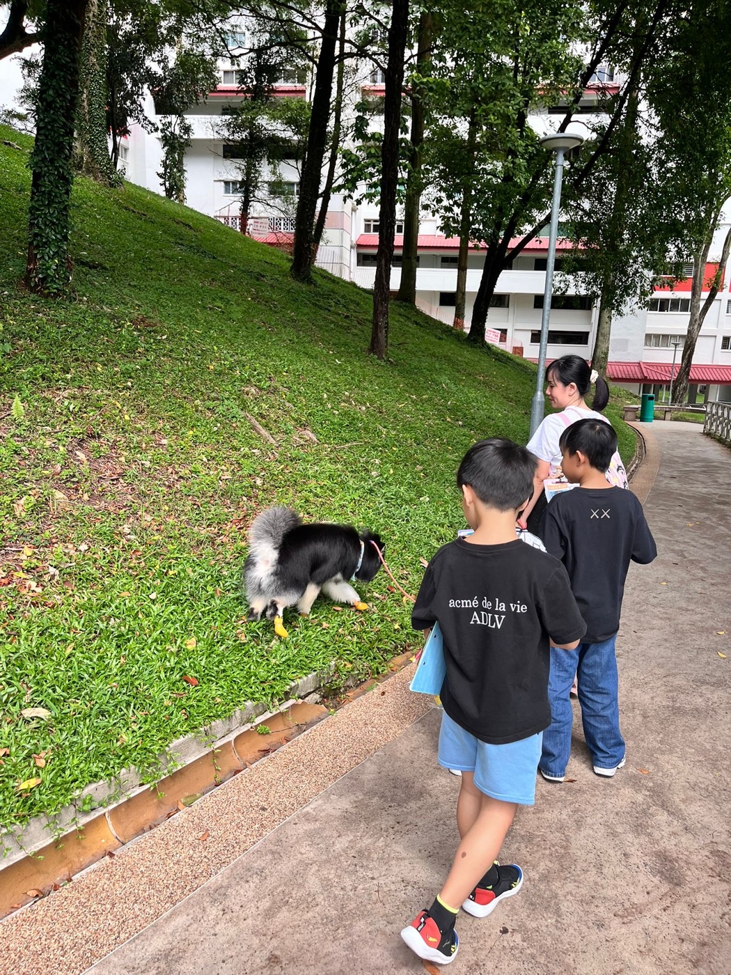 Students on an outdoor walk during the Adventure with Kobe programme